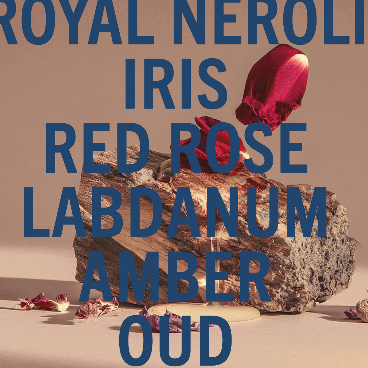 Amber Oud Ahad Fragrance Noir 10ml