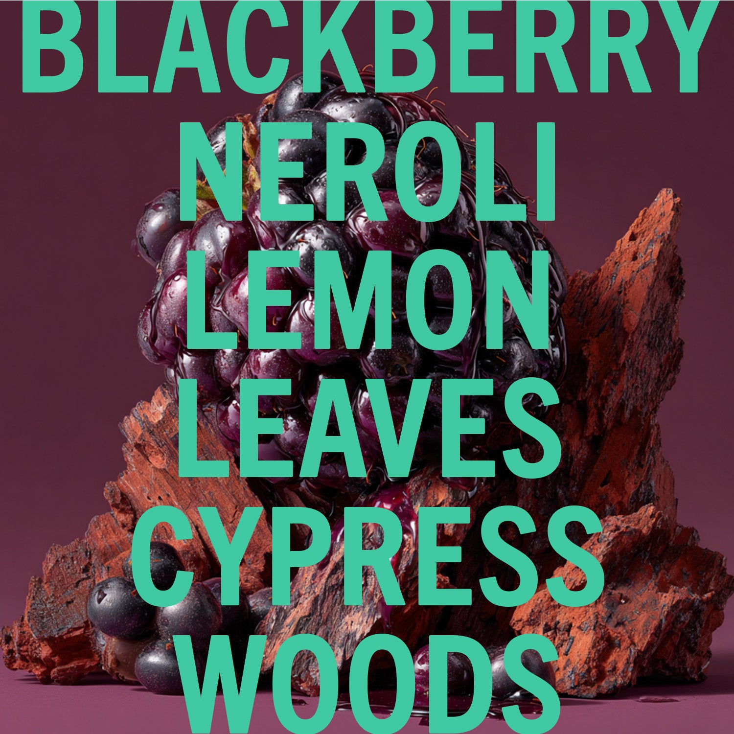 Blackberry Woods Fragrance 10ml