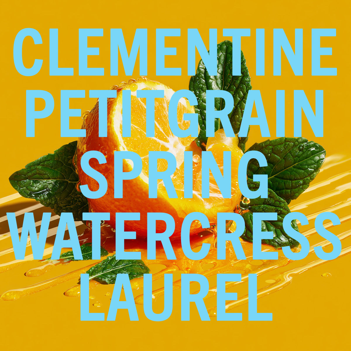 Clementine Fragrance 10ml