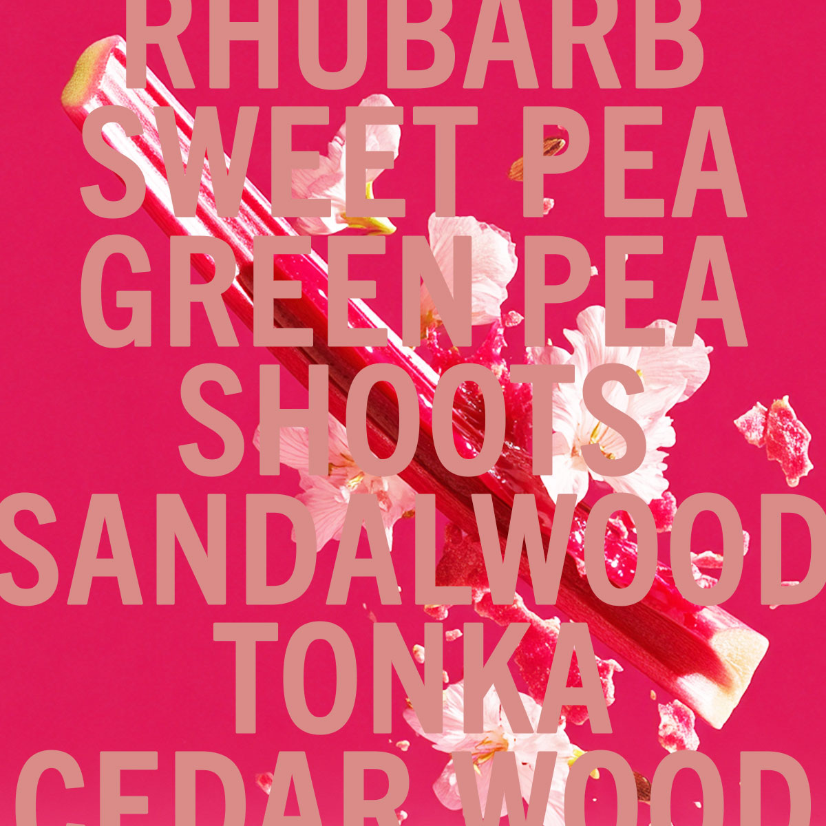 Rhubarb Sandalwood Fragrance 10ml