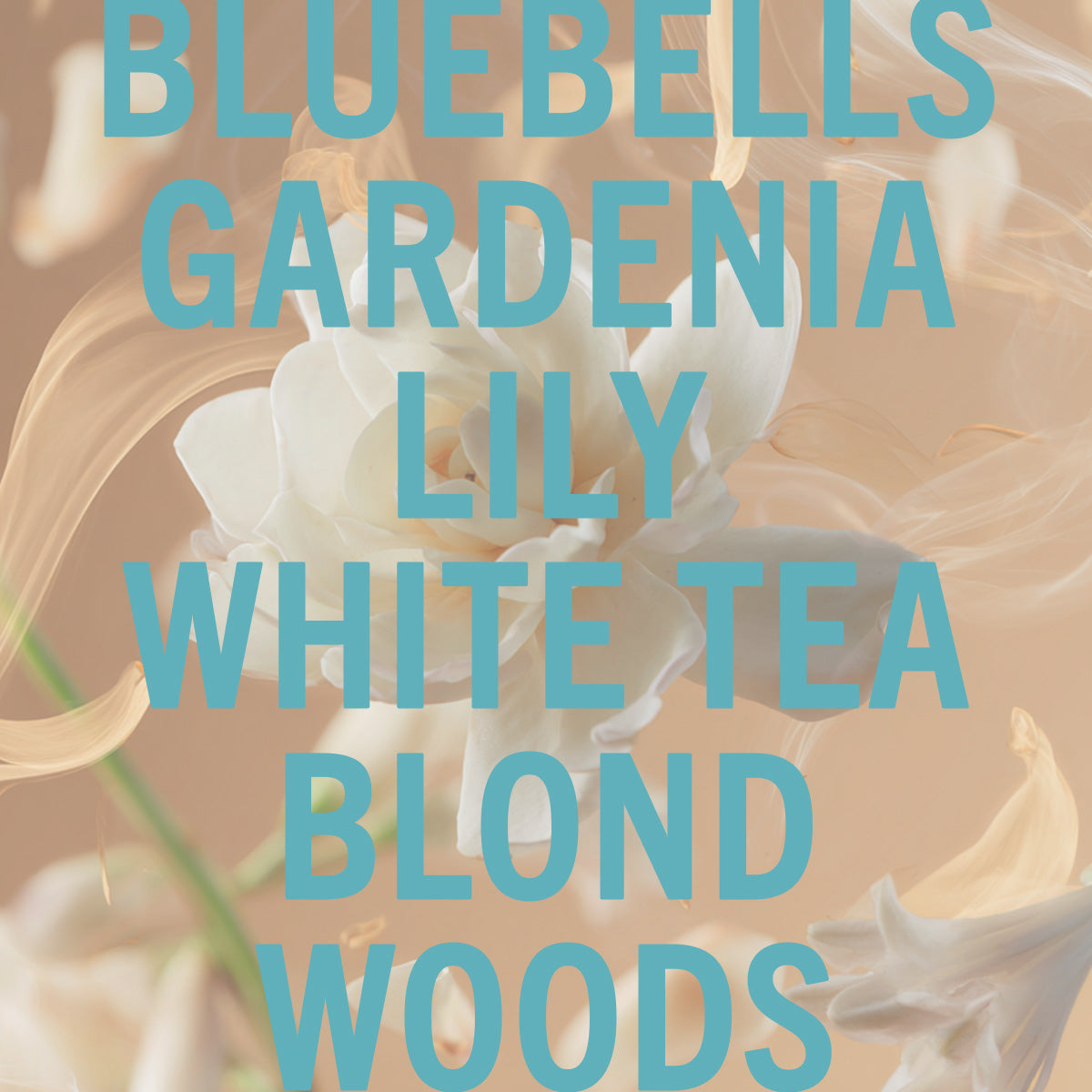 Tallulahs Camelia Fragrance 10ml