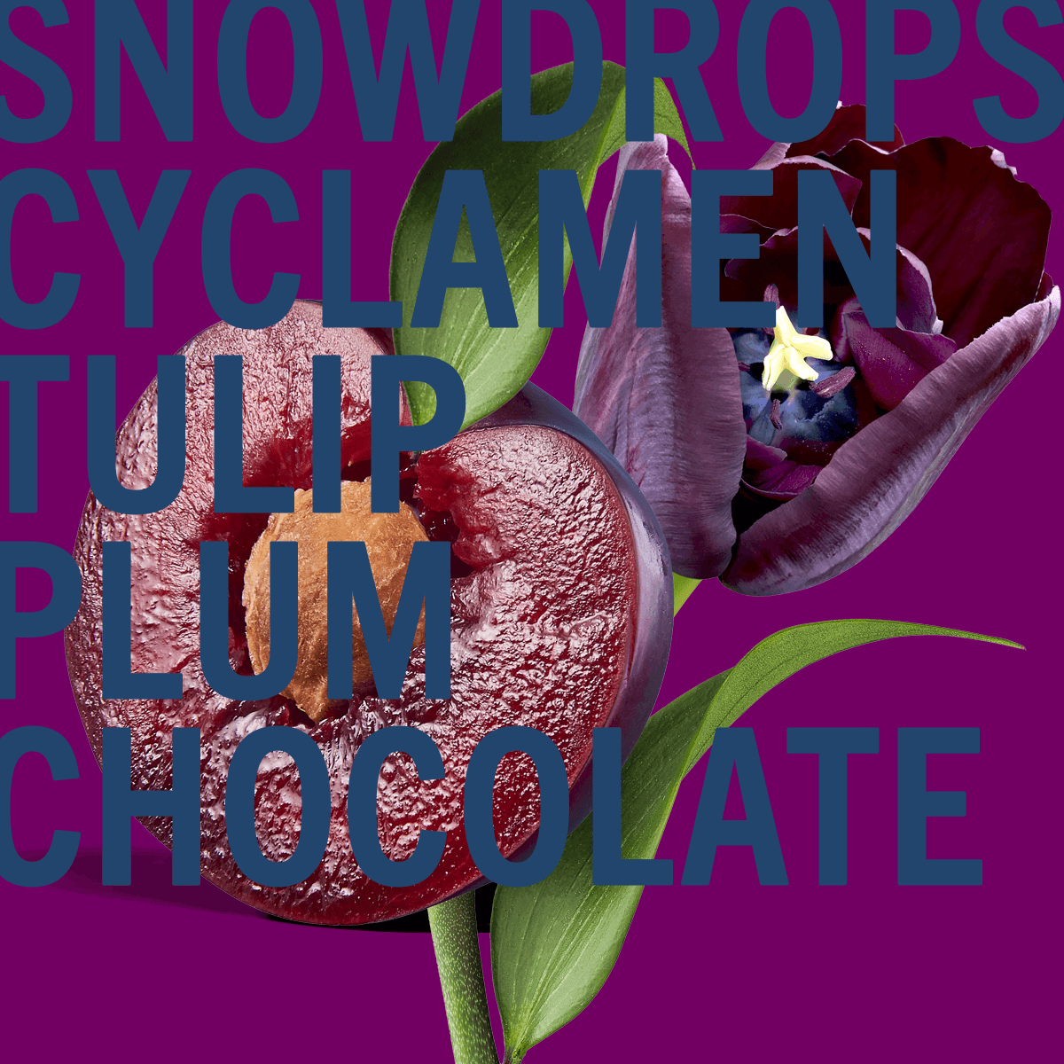 Parfum Tulipe Noire 2ml