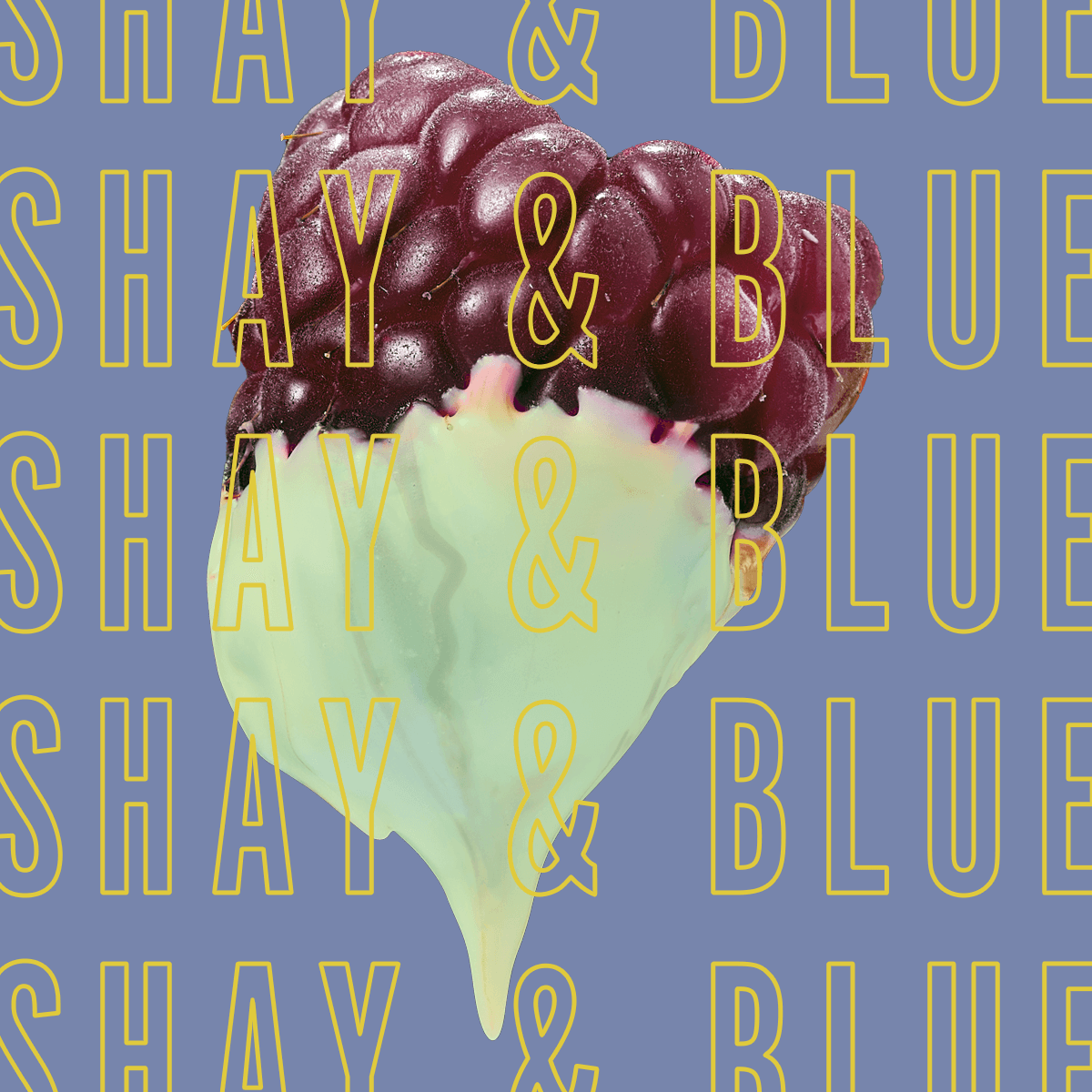 Parfum Framboise Noire 2ml