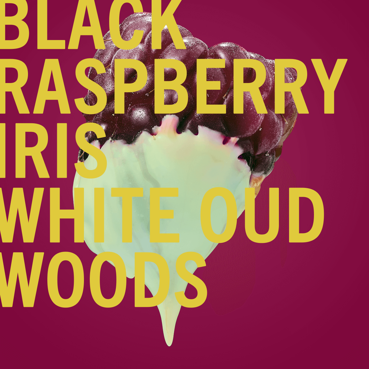 Parfum Framboise Noire 2ml