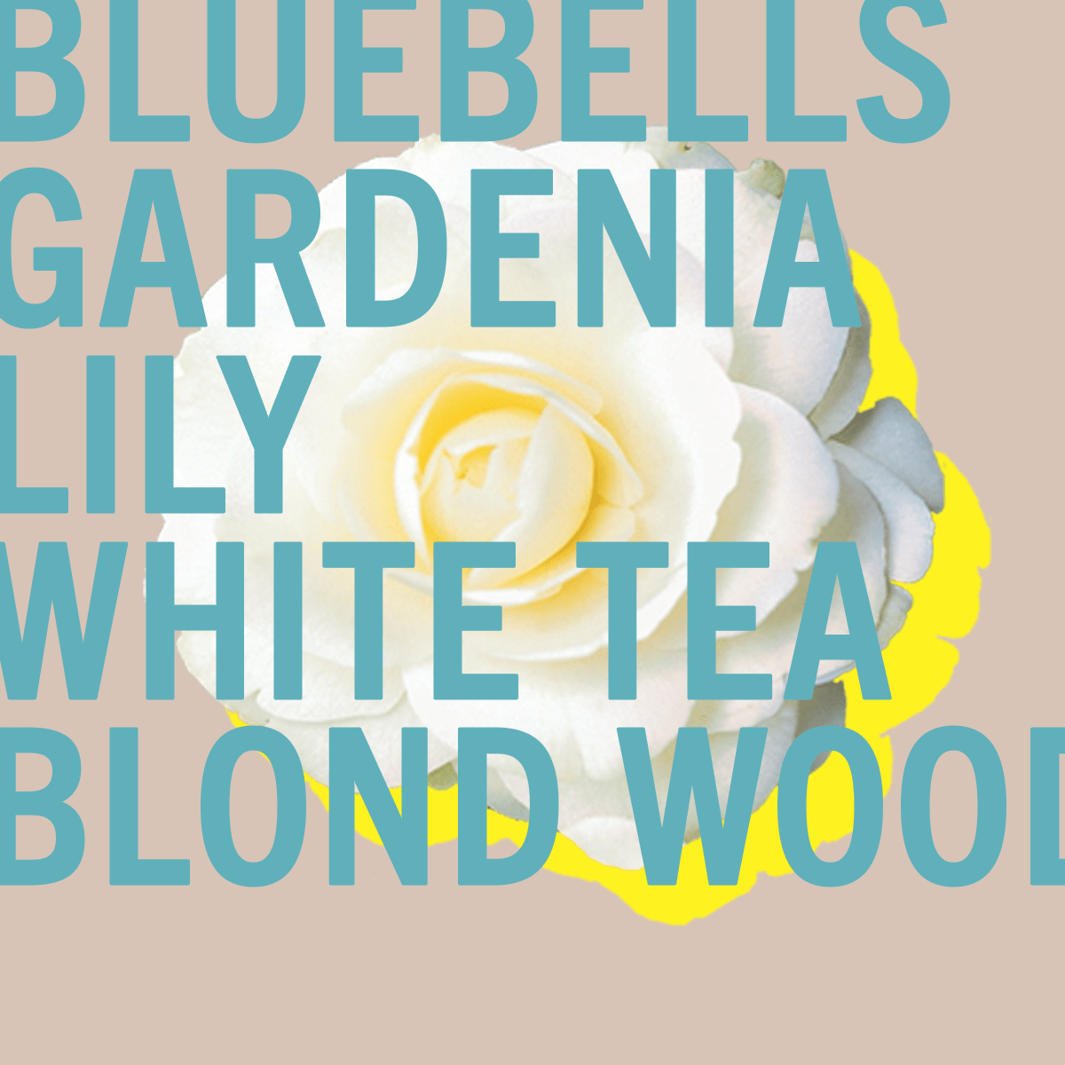 Tallulahs Parfum Camélia 2 ml