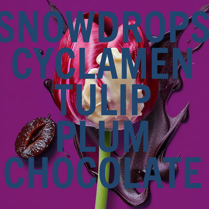 Parfum Tulipe Noire 100ml