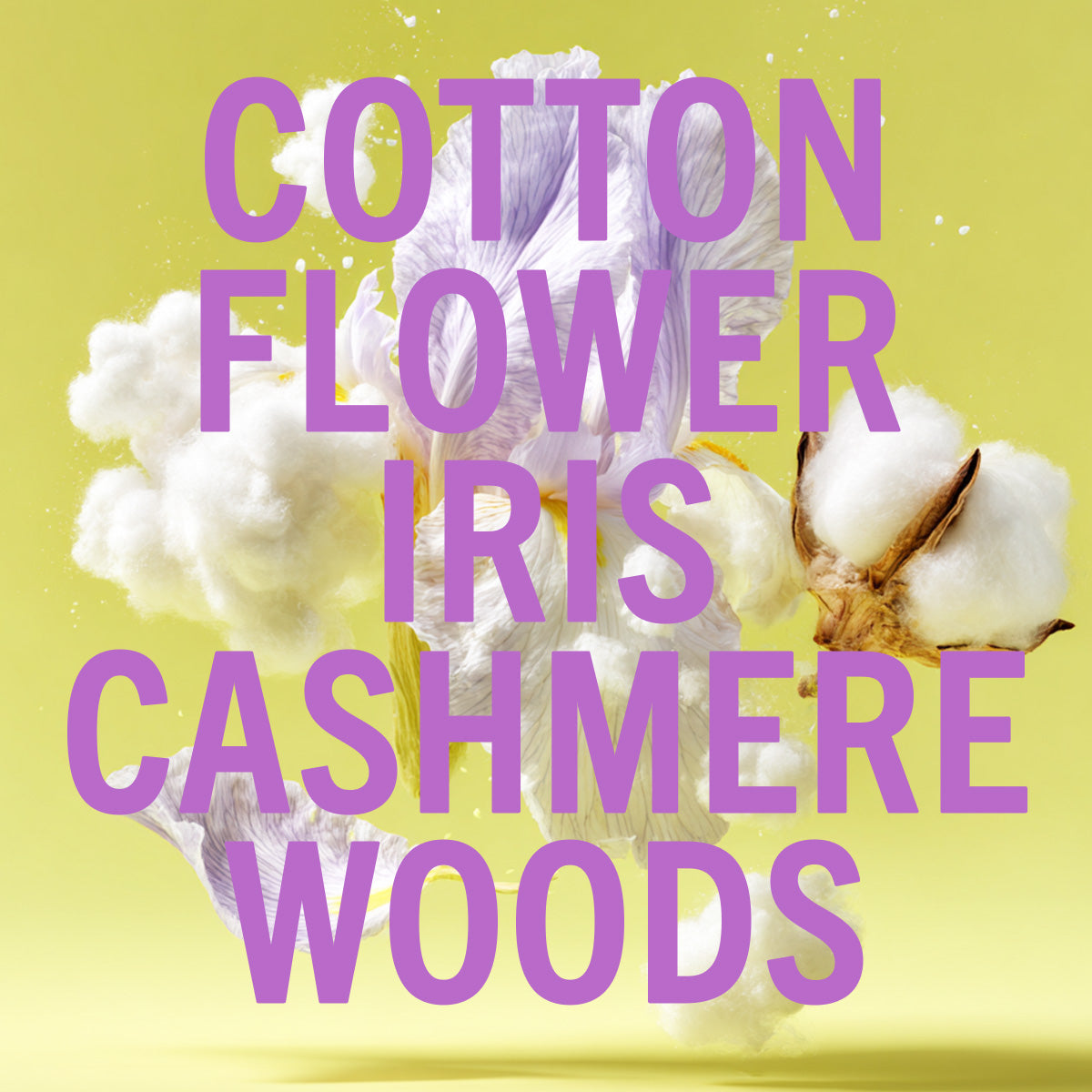 Limited Edition Cotton Flower Fragrance 10ml