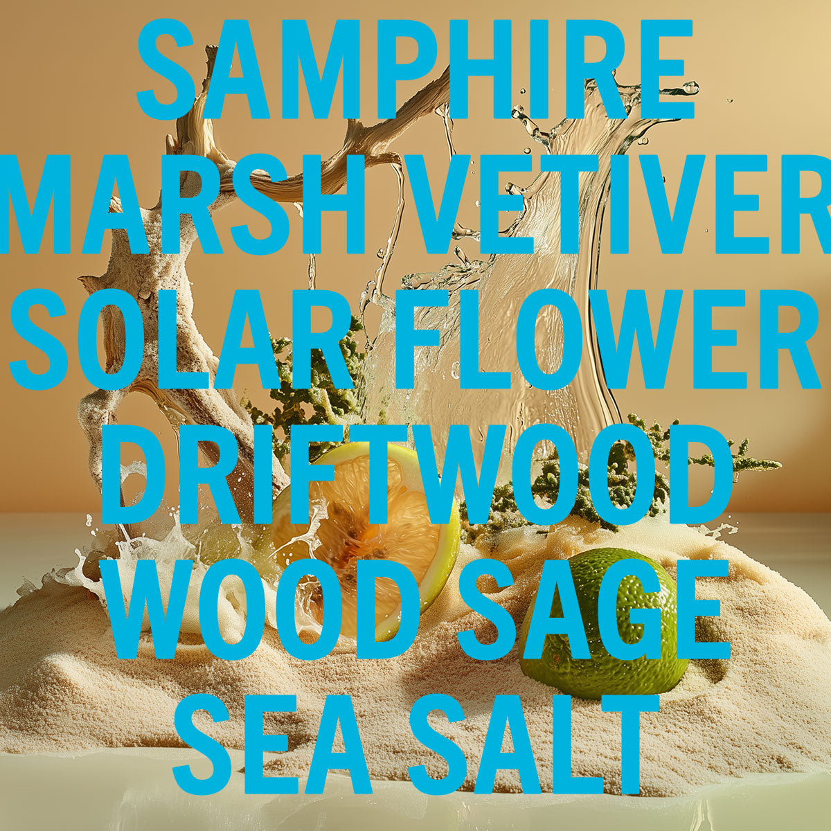 Driftwood Sea Salt Fragrance 100ml
