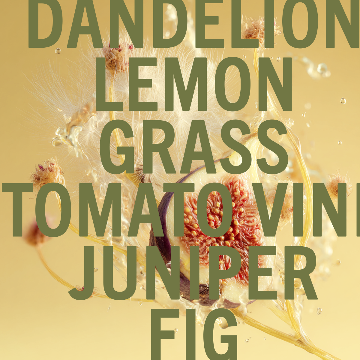 Dandelion Fig Fragrance 10ml
