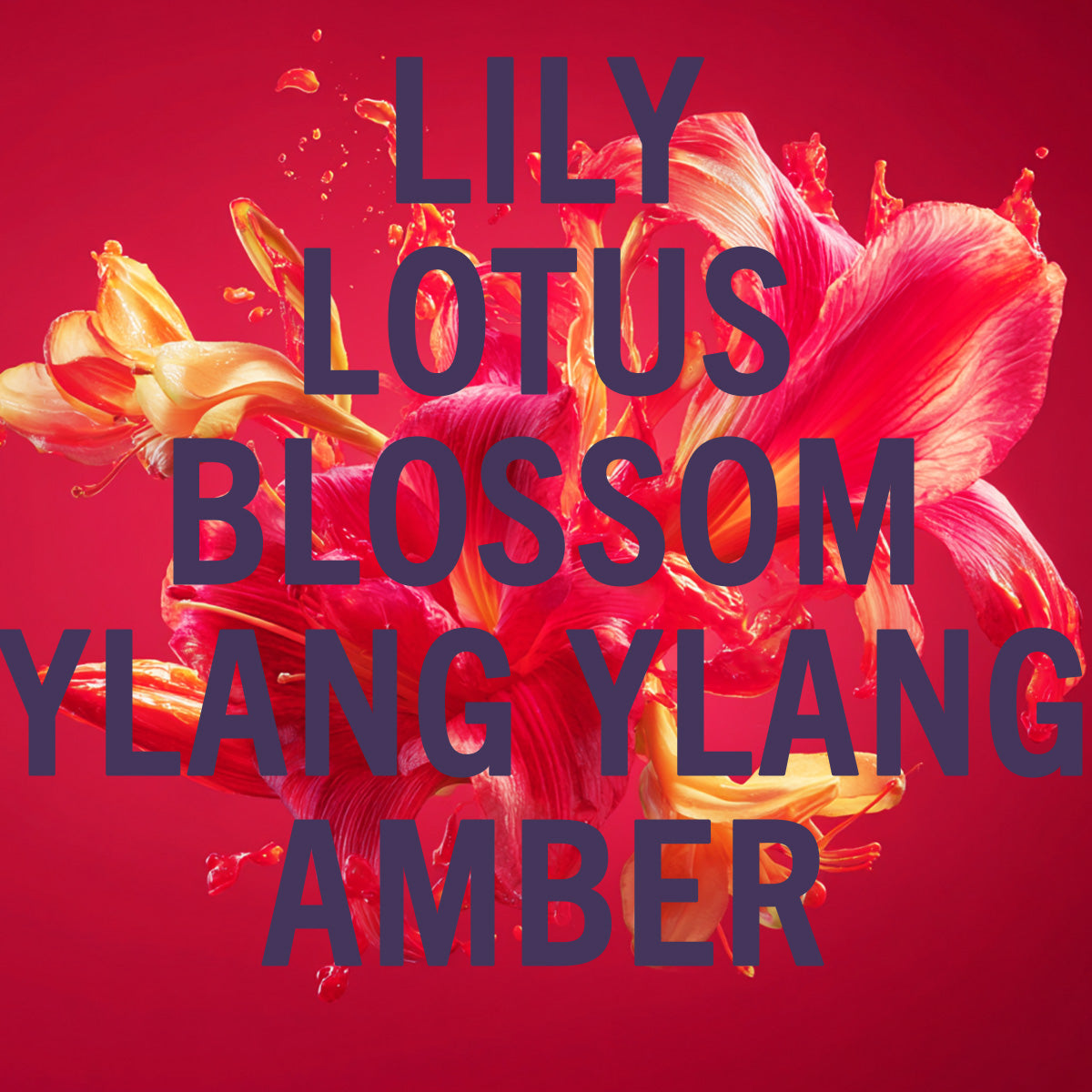 Scarlet Lily Fragrance 10ml