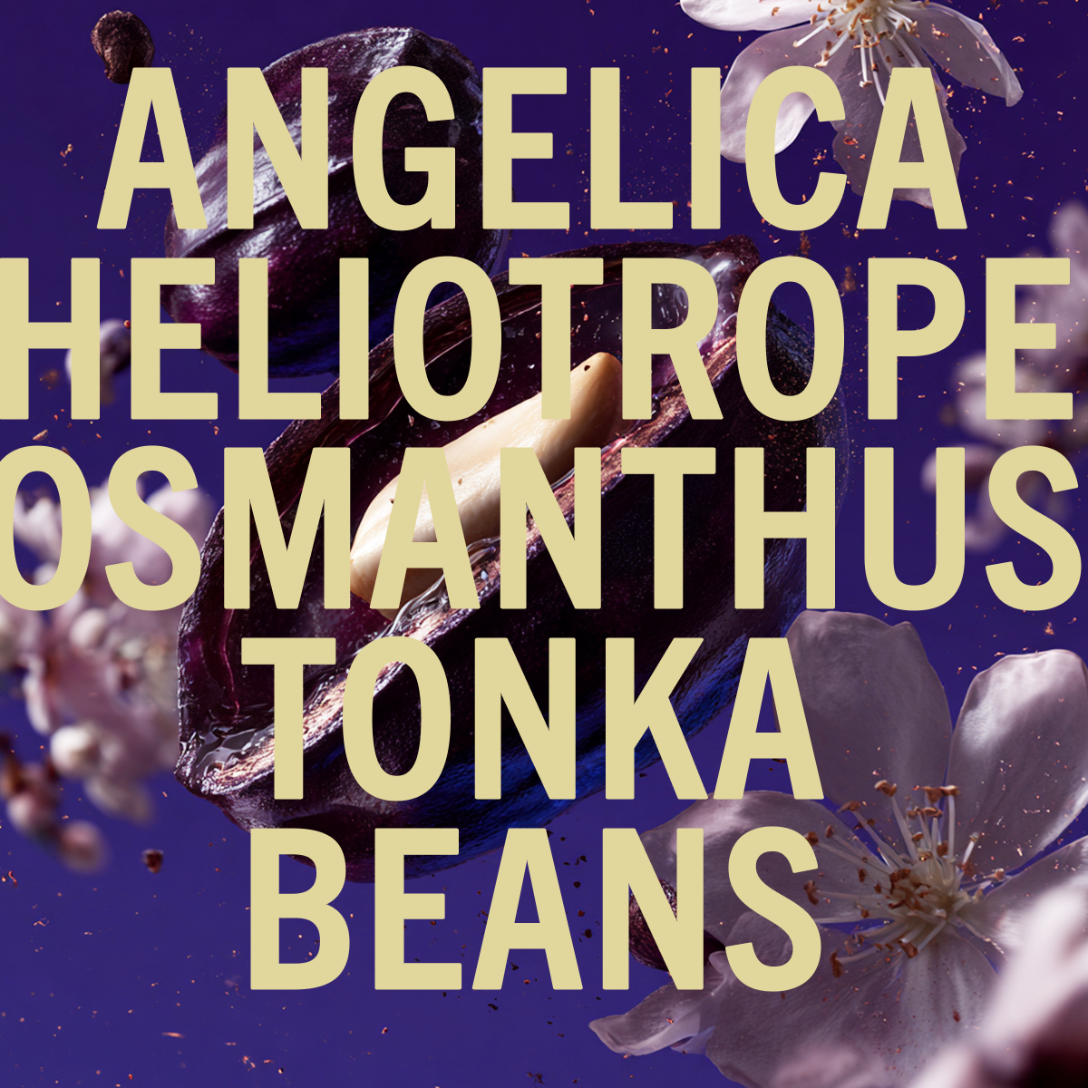 Limited Edition Tonka Angelica Fragrance 10ml