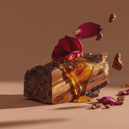 Amber Oud Ahad Fragrance Noir 100ml