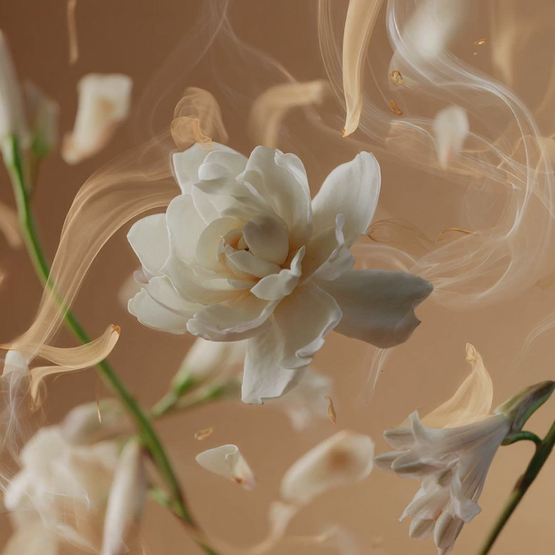 Tallulahs Camelia Fragrance 10ml