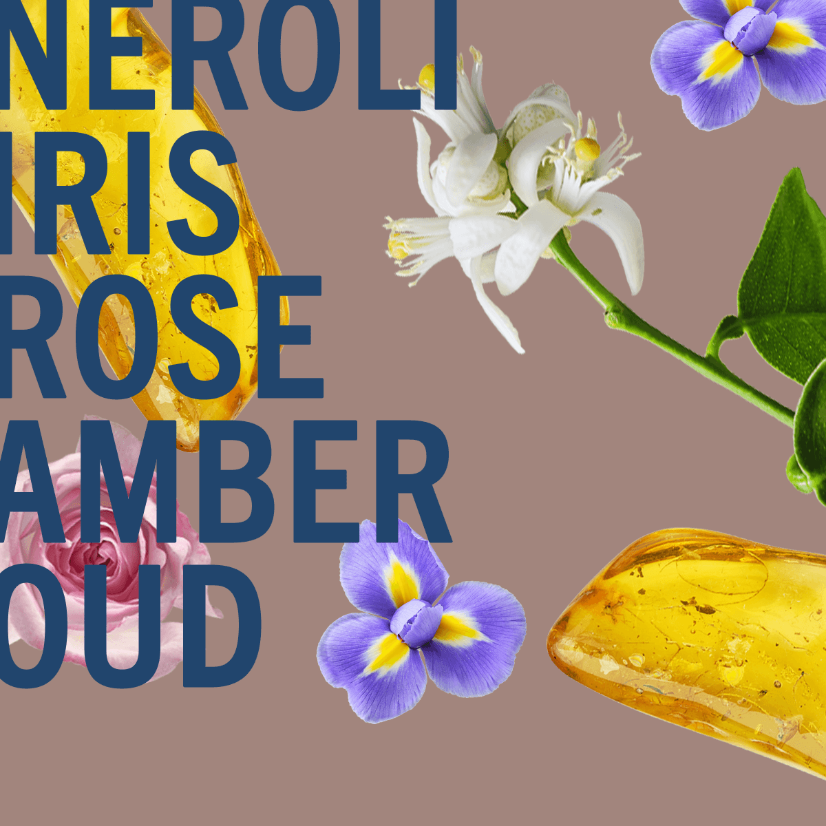 Amber Oud Ahad Fragrance Noir 100 ml