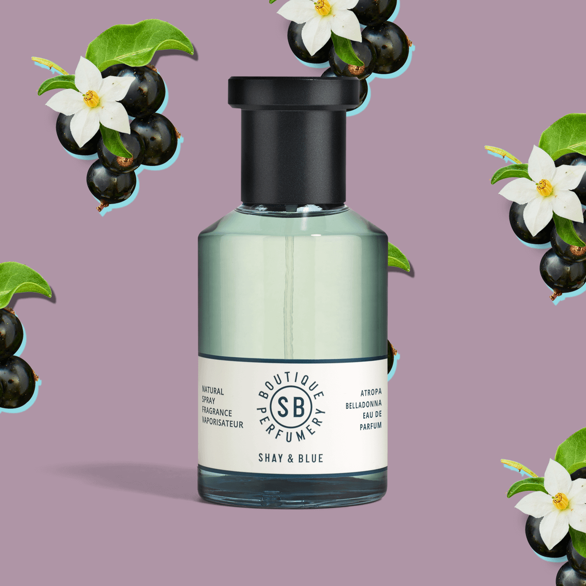 Atropa Belladonna Fragrance 100ml | Cassis berries and jasmine dance with layers of depth from patchouli and vanilla. | Clean All Gender Fragrance | Shay & Blue
