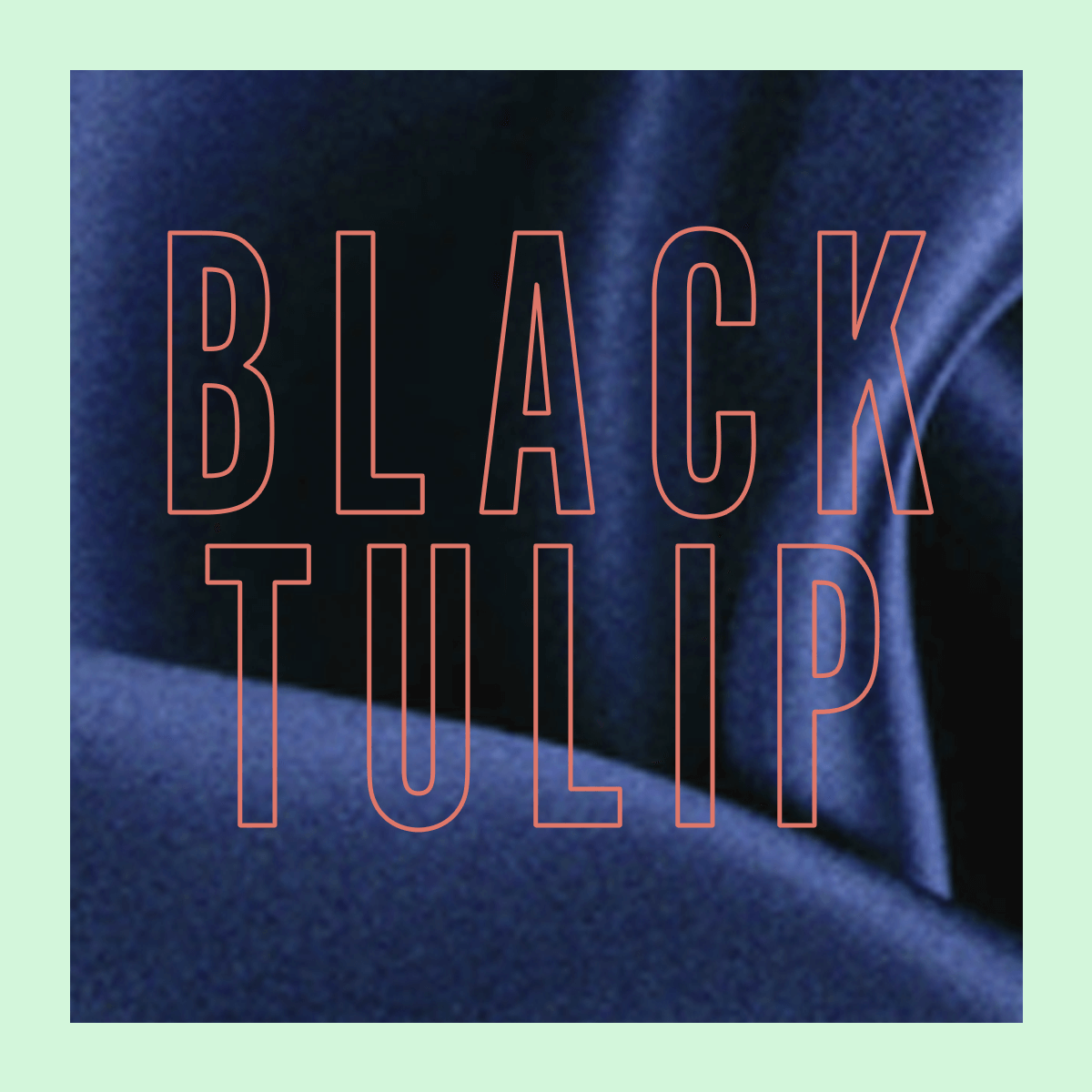 Black Tulip Fragrance 100ml