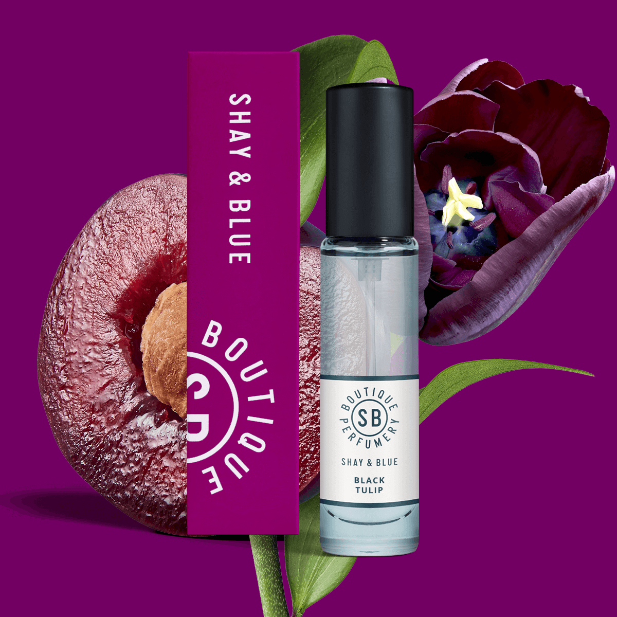 Black Tulip Fragrance 10ml | Oriental plum flirts with creamy white chocolate and wood. | Clean All Gender Fragrance | Shay & Blue