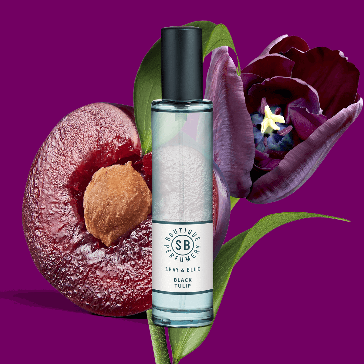 Black Tulip Fragrance 30ml | Oriental plum flirts with creamy white chocolate and wood. | Clean All Gender Fragrance | Shay & Blue