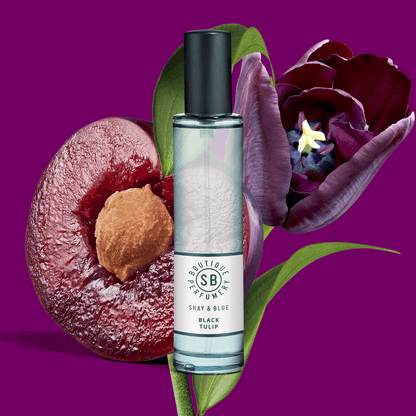 Black Tulip Fragrance 30ml | Oriental plum flirts with creamy white chocolate and wood. | Clean All Gender Fragrance | Shay & Blue