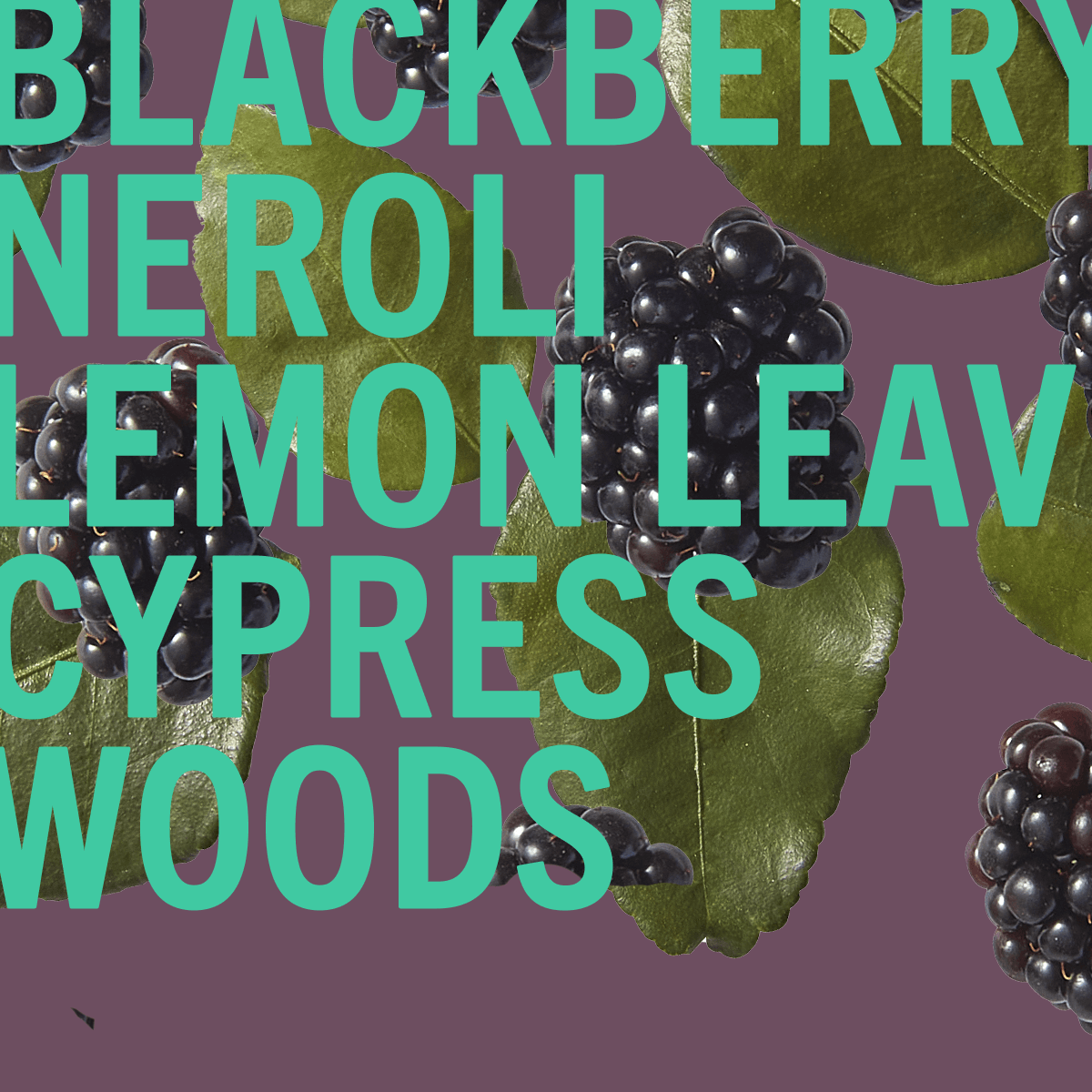 Blackberry Woods Fragrance 100ml
