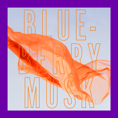 Blueberry Musk Fragrance 10ml