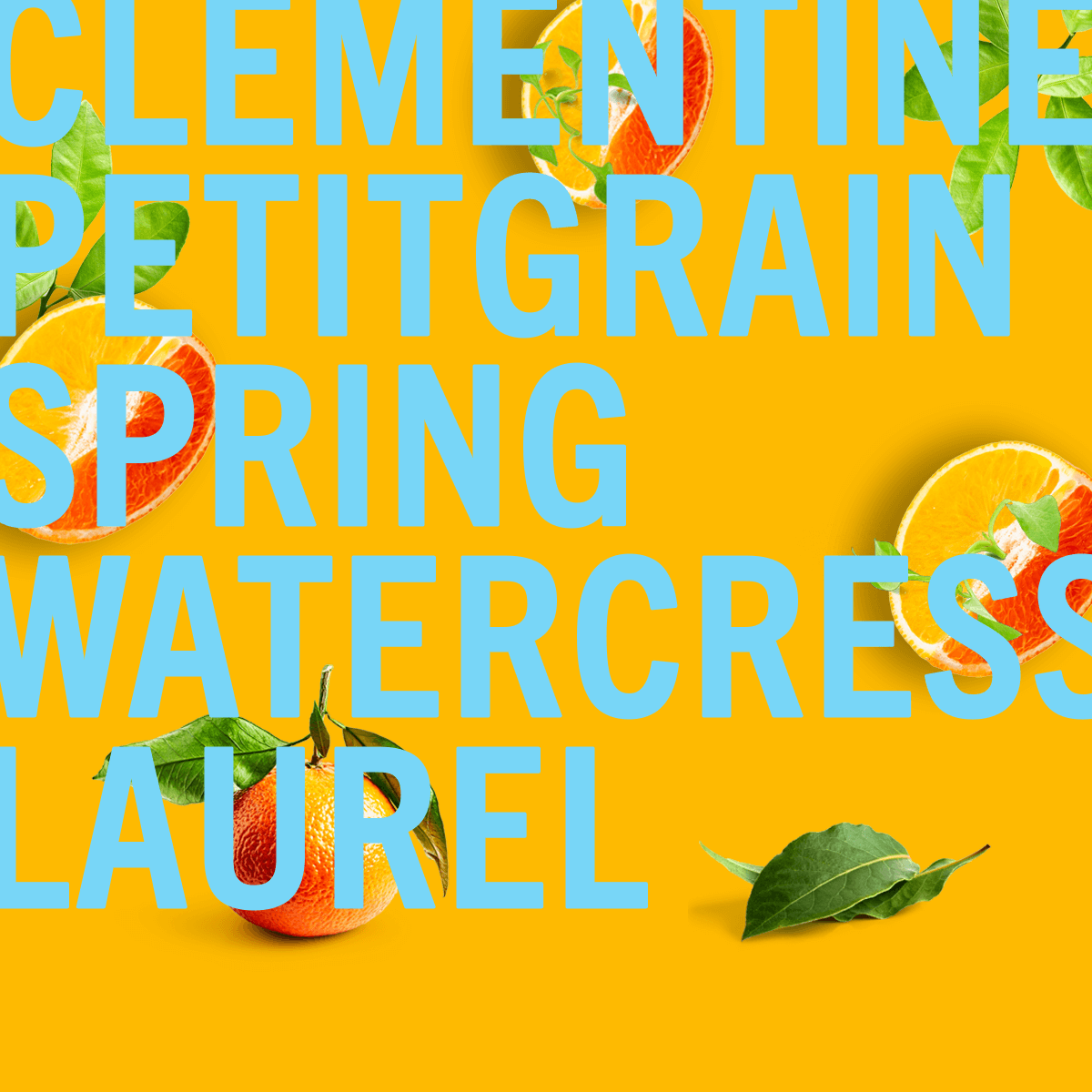 Clementinenduft 100 ml