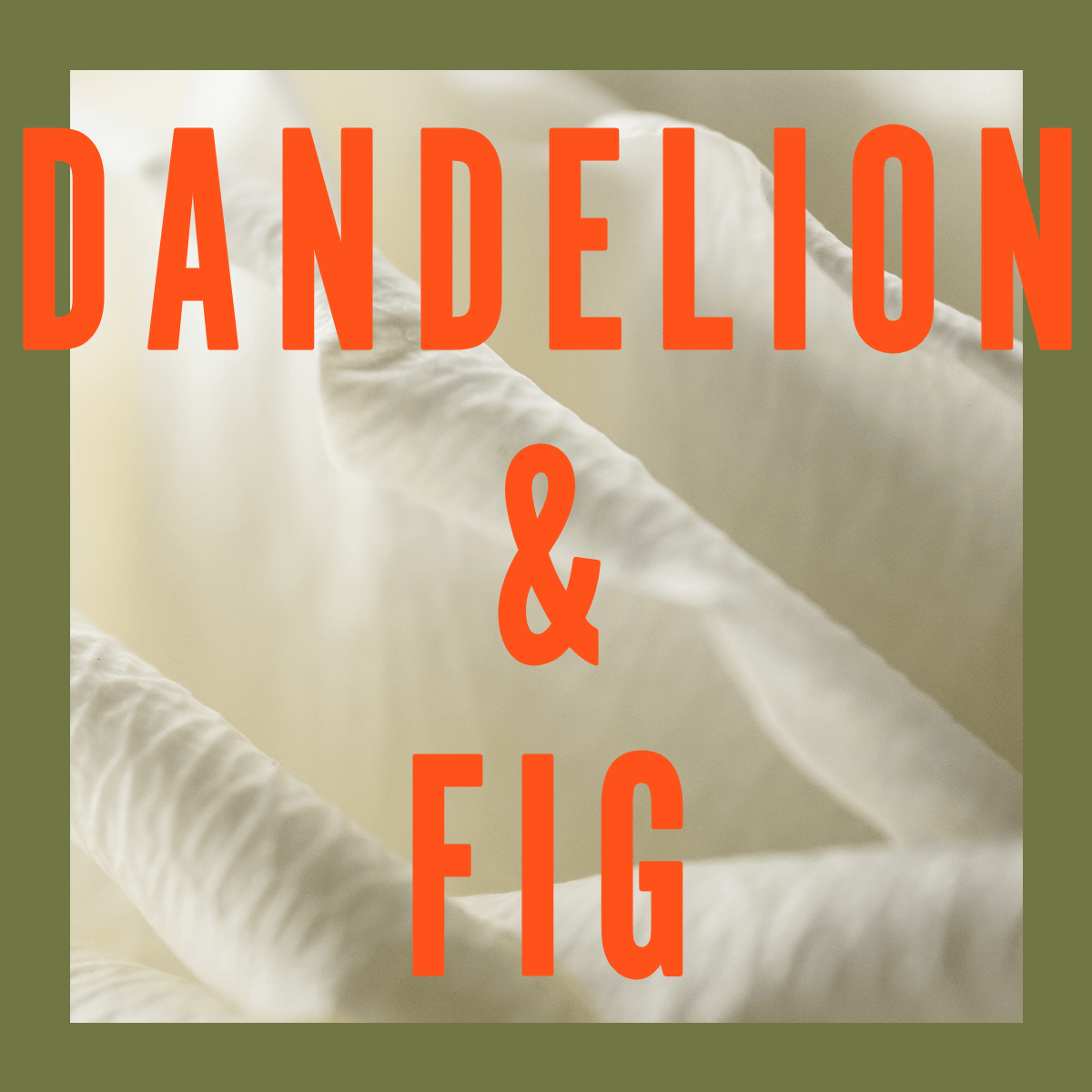 Dandelion Fig Fragrance 100ml