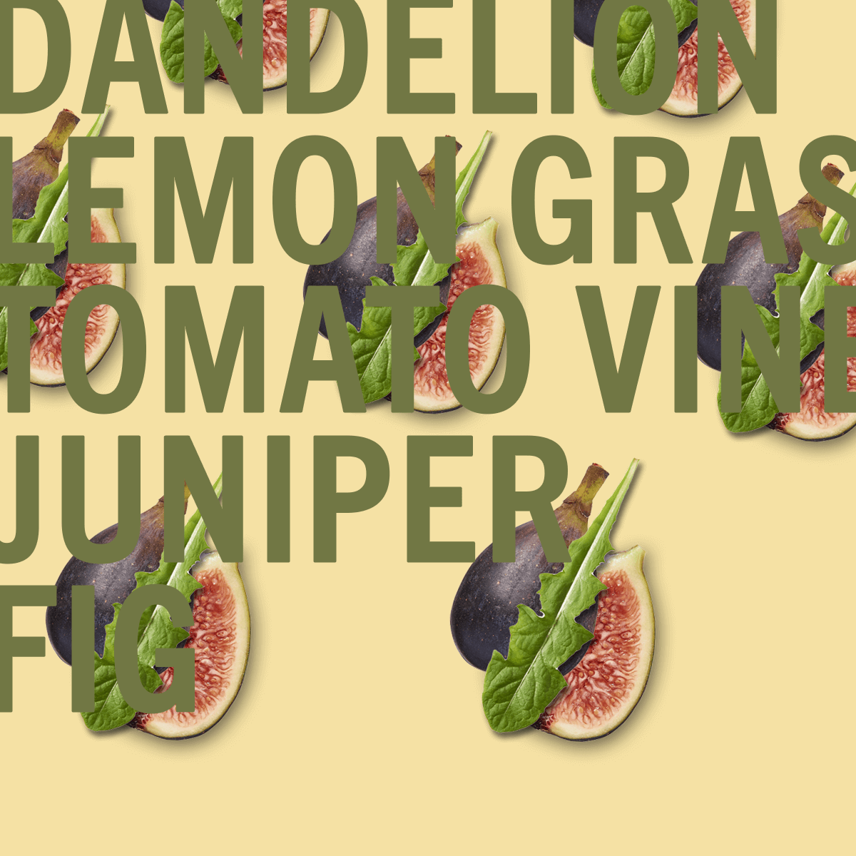 Dandelion Fig Fragrance 100ml