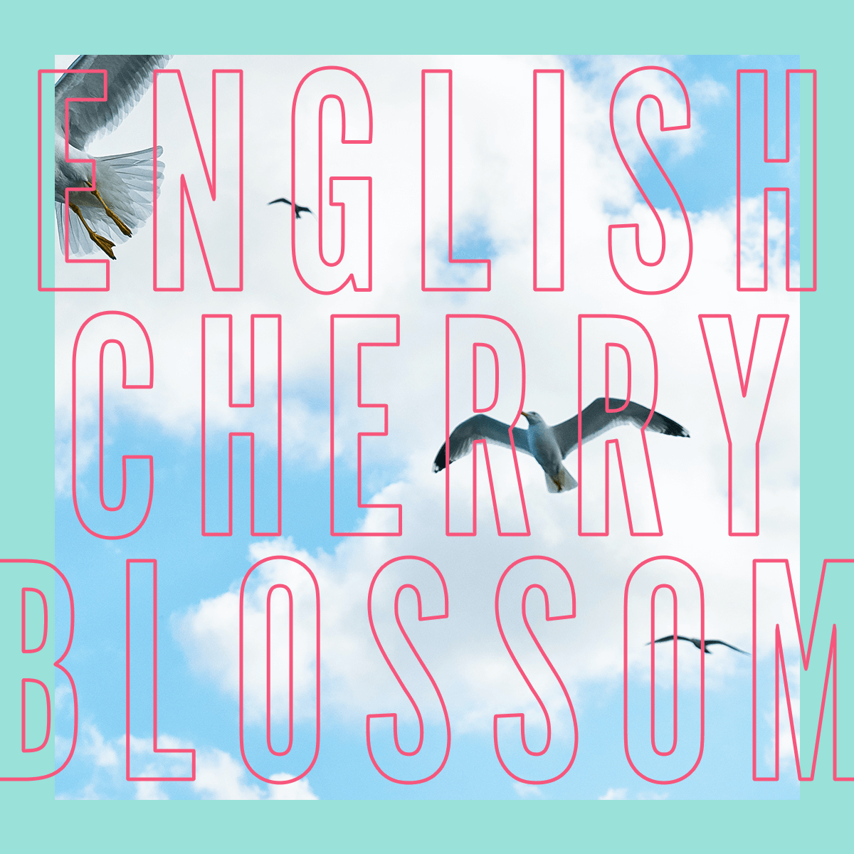 English Cherry Blossom Fragrance 100ml