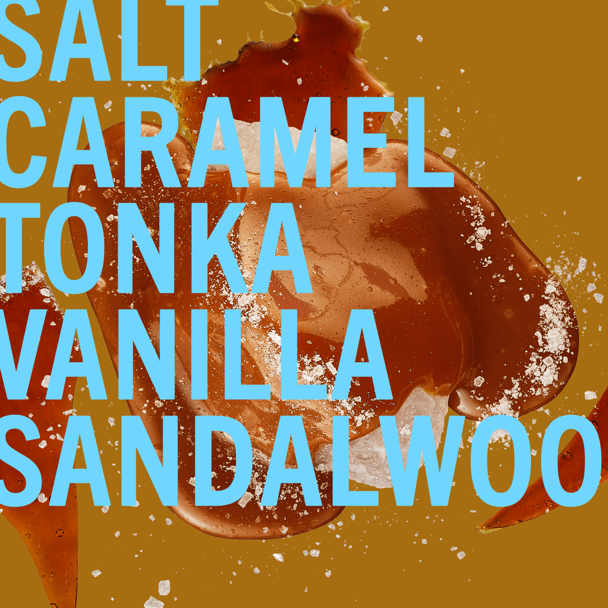 Salt Caramel Fragrance 10ml