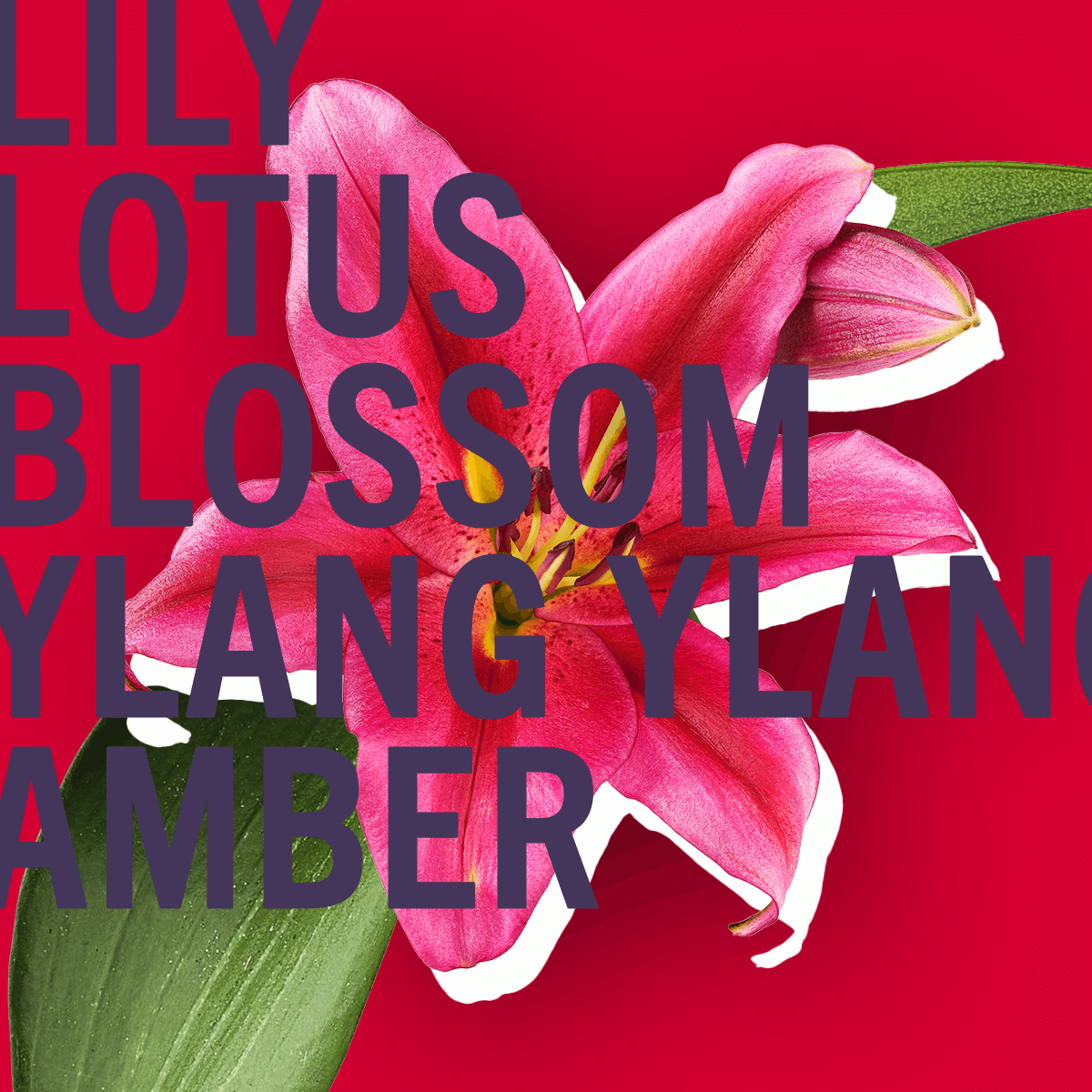 Scarlet Lily Fragrance 100ml