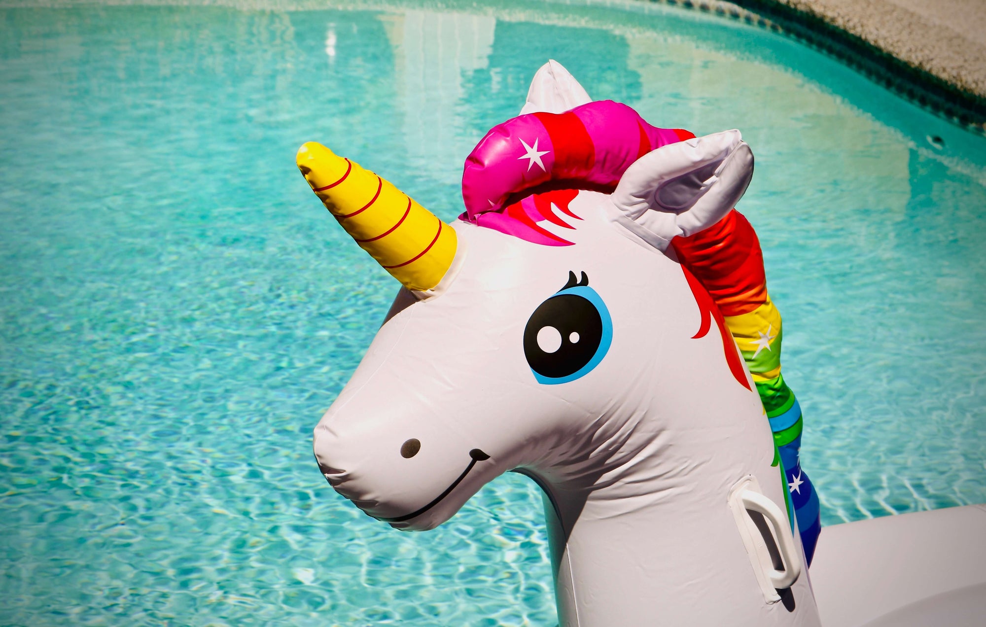 15 cosas que no sabías sobre los unicornios