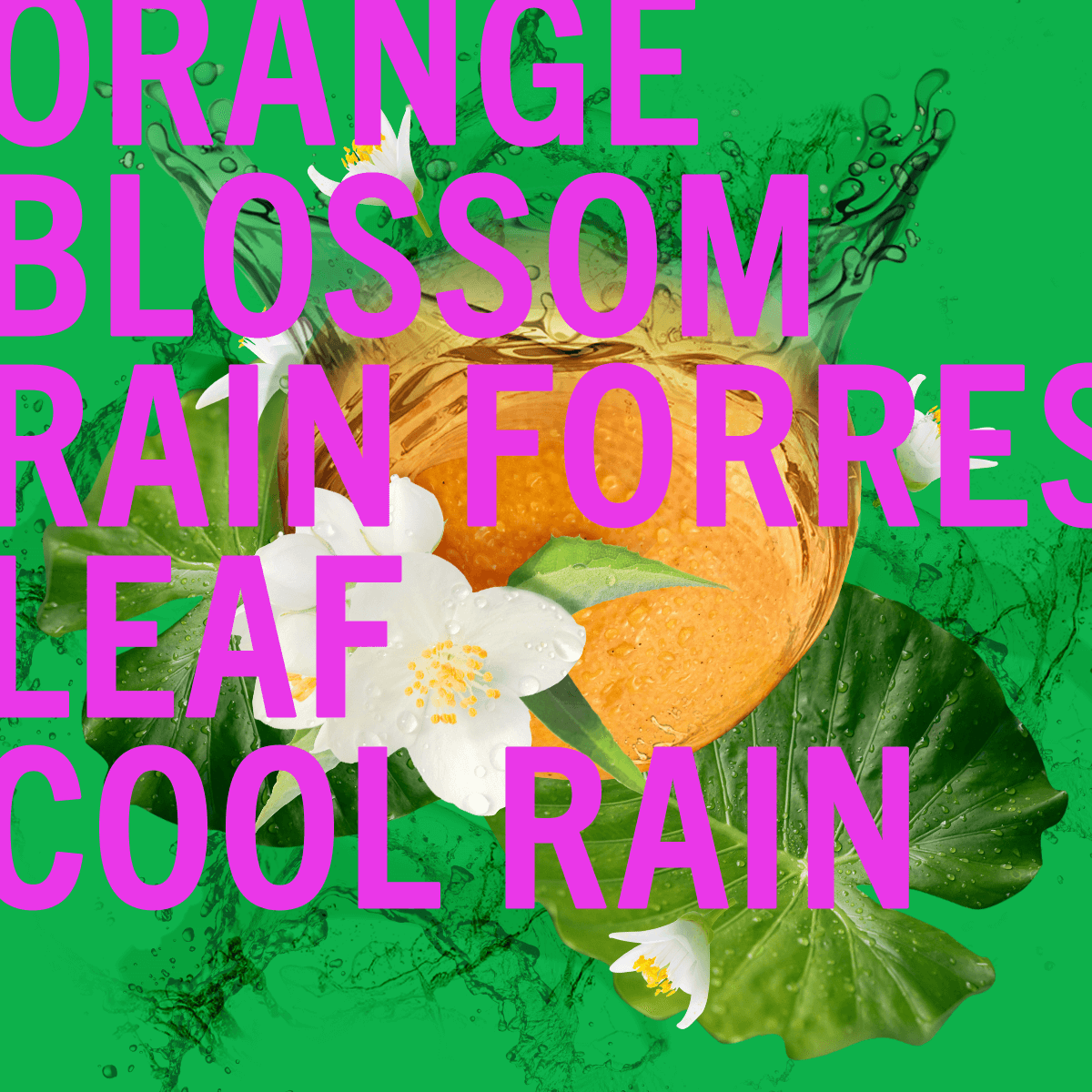 Edición limitada de la fragancia Rain Shower Leaf 100ml