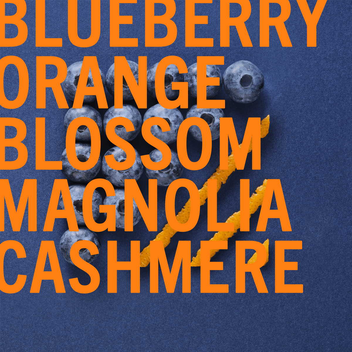Fragancia Blueberry Musk 100ml