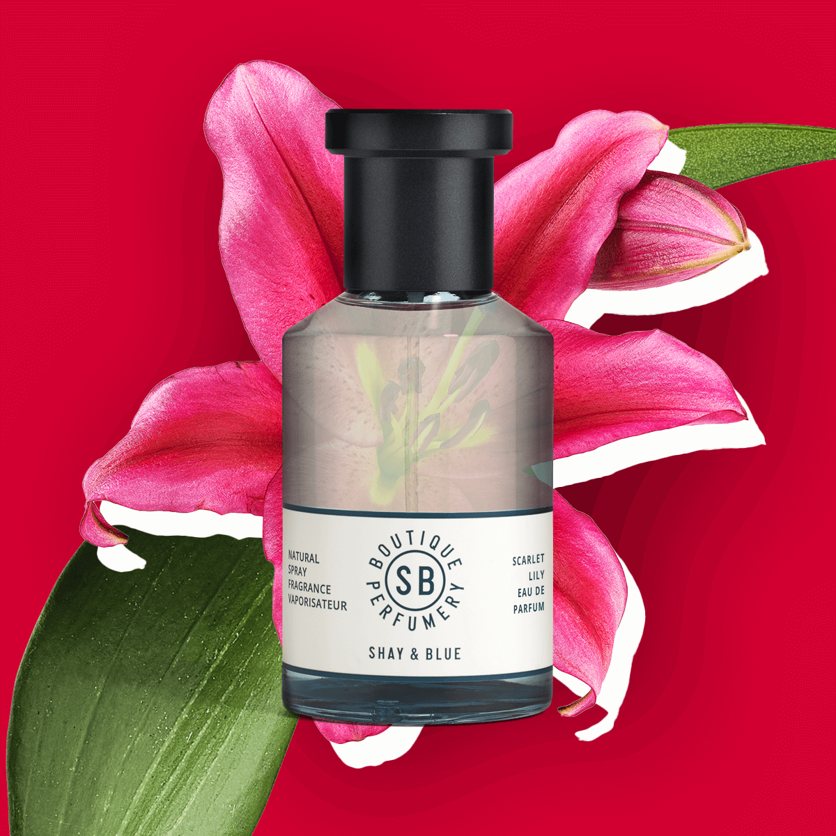 Scarlet Lily Fragrance 100ml | Grandes fleurs de lys écarlate avec des nuances d'ylang ylang. | Parfum d'ambiance - Clean All Gender Fragrance - Shay & Blue