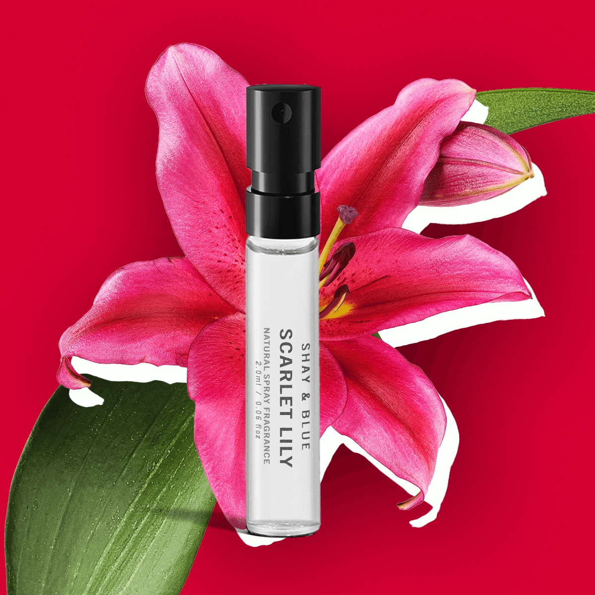 Scarlet Lily Fragrance 2ml | Grandes fleurs de lys écarlate avec des nuances d'ylang ylang. | Parfum d'ambiance - Clean All Gender Fragrance - Shay & Blue