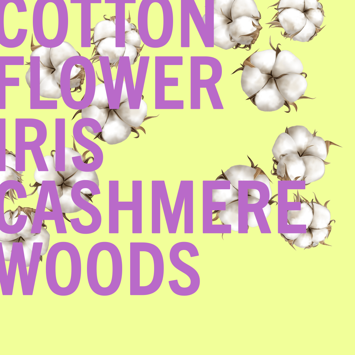 Edizione limitata del profumo Cotton Flower 100ml