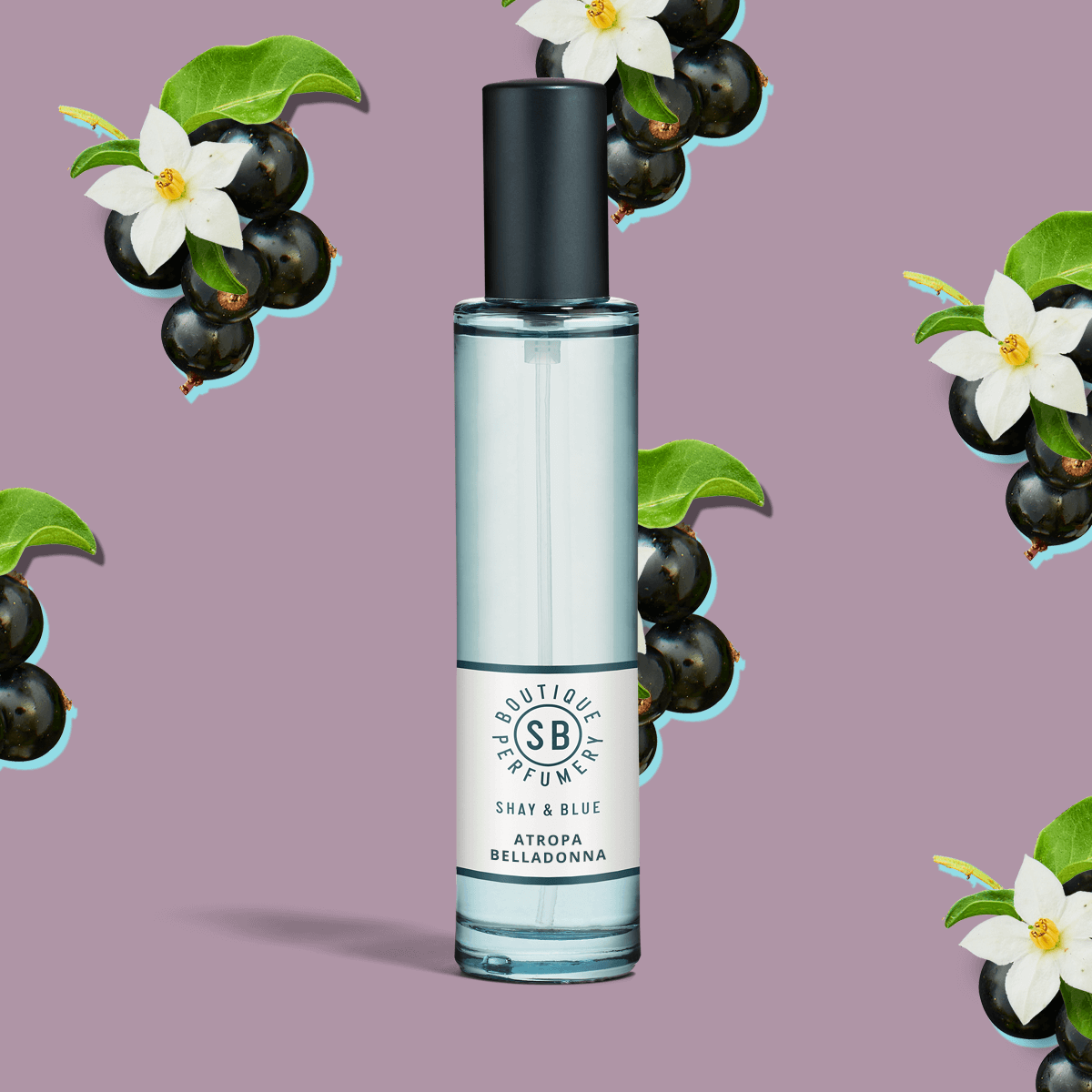 Atropa Belladonna Fragrance 30ml | Cassisbessen en jasmijn dansen met lagen diepte van patchoeli en vanille. | Schone geur voor alle seksen | Shay & Blue