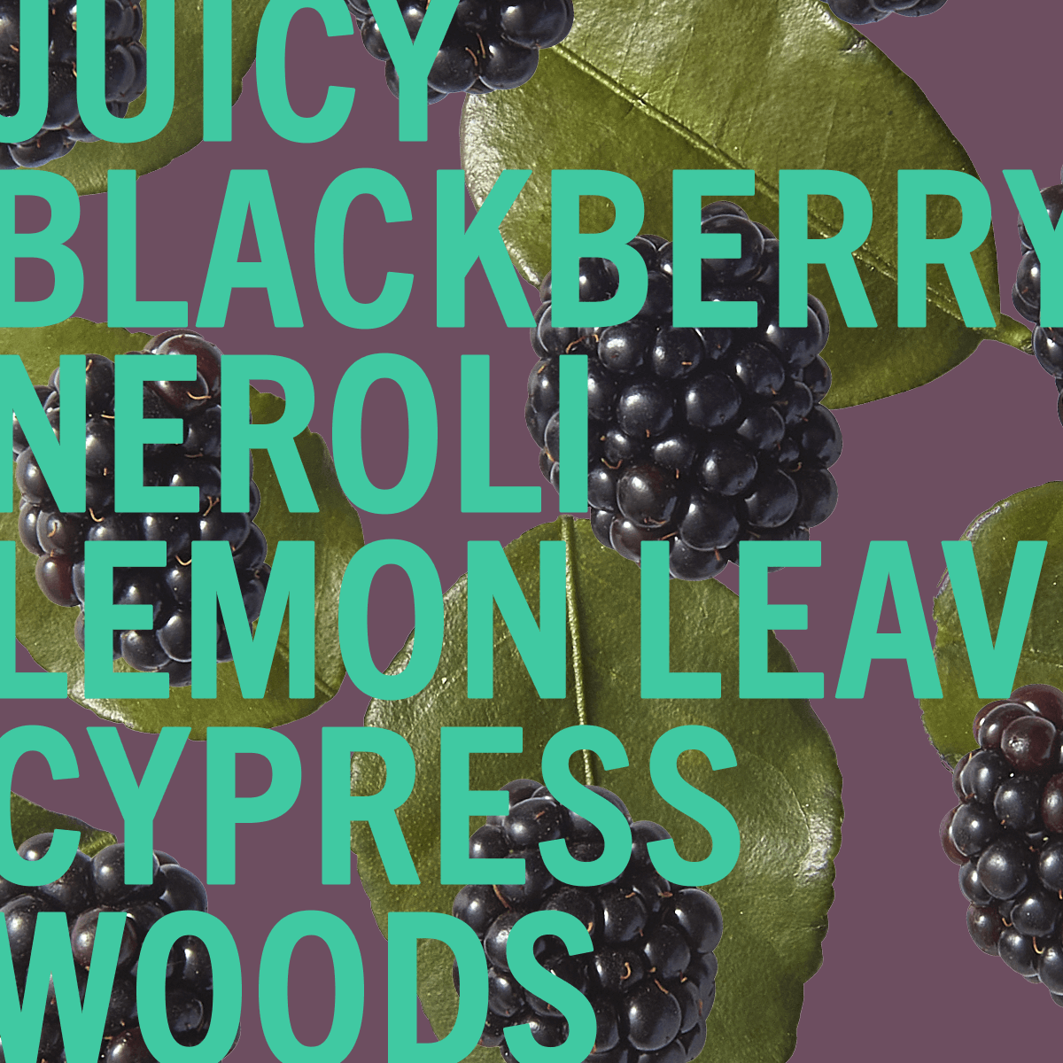 Blackberry Woods Geur 2ml
